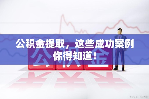 临泉公积金提取，这些成功案例你得知道！